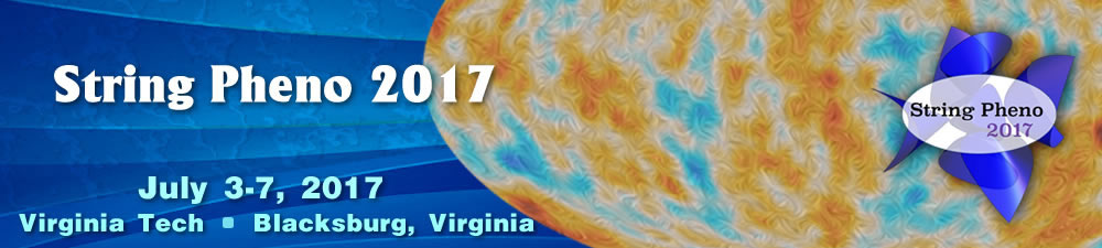 String Pheno 2017 - July 3-7, 2017 - Virginia Tech - Blacksburg Virginia - Photos: Picture of polarized cosmic microwave 