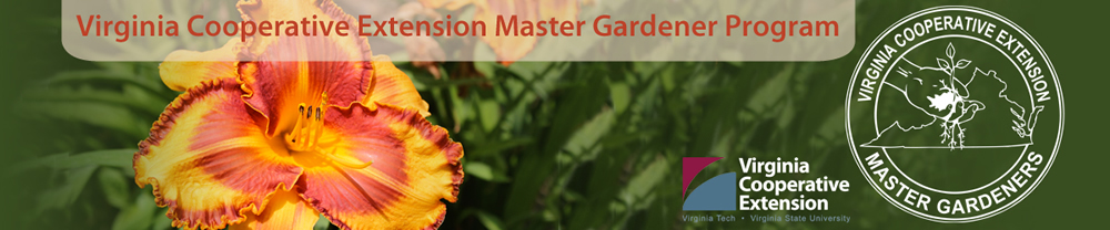 Virginia Cooperative Extension Master Gardener Program - Logos: Virginia Cooperative Extension and VCE Master Gardeners Seal - Photo: yellow and orange day lily